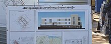 В Севастополе к концу года появится новая ветлечебница