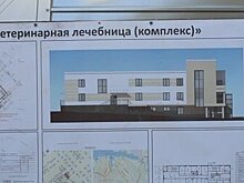 В Севастополе к концу года появится новая ветлечебница