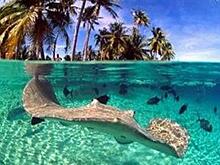 На Фиджи на развитие туризма выделили почти 100 миллионов долларов