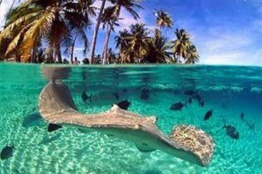 На Фиджи на развитие туризма выделили почти 100 миллионов долларов