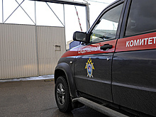 СК возбудил дело после гибели шести рабочих в теплице в Волгоградской области