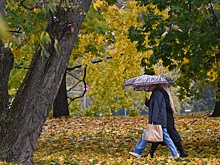 Синоптики оценили слухи о суперснегопаде в Москве