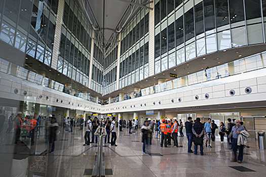Охрана Домодедово пропустила мужчину с пистолетом
