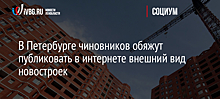 В Петербурге чиновников обяжут публиковать в интернете внешний вид новостроек