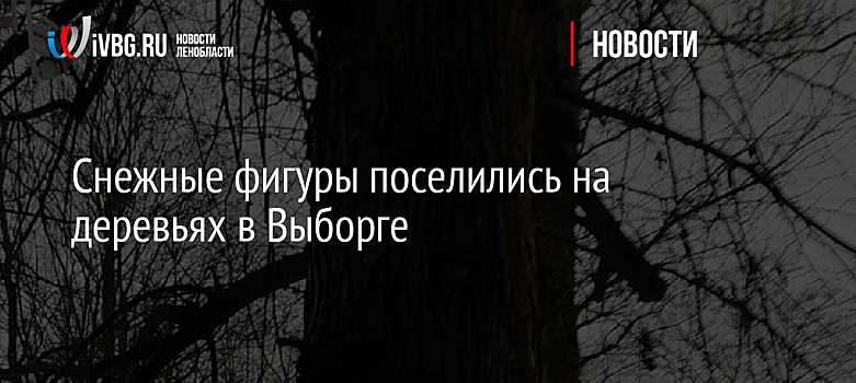 Снежные фигуры поселились на деревьях в Выборге