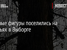 Снежные фигуры поселились на деревьях в Выборге