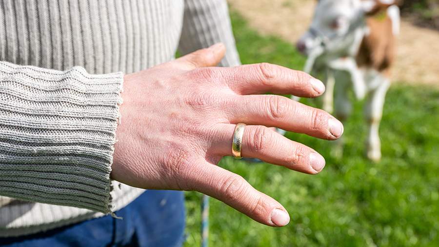 Большой палец поведал ученым тайну мозга