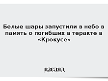Послы иностранных государств возложили цветы к мемориалу жертвам теракта в «Крокусе»
