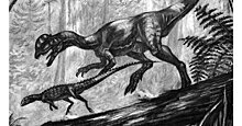 Science (США): настоящие дилофозавры съели бы Парк юрского периода в один присест