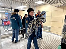 МИД назвал число вывезенных из сектора Газа россиян