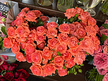 Любовный гороскоп на 20 августа 2025 года: что обещают астрологи