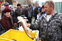 Как в Кузбассе стимулируют спрос на рыбу местного производства