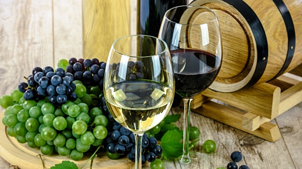 Как в Краснодарском крае развивается гастрономический туризм