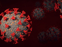 Назван способ определить «стелс-омикрон» до теста на COVID-19