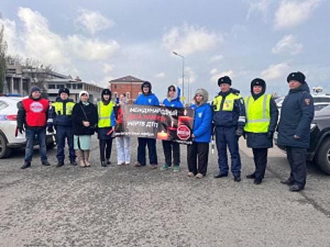 В Нижегородской области сотрудники ГАИ, общественники и студенты  вспомнили жертв ДТП