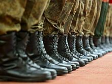 Участники СВО бесплатно получат второе образование