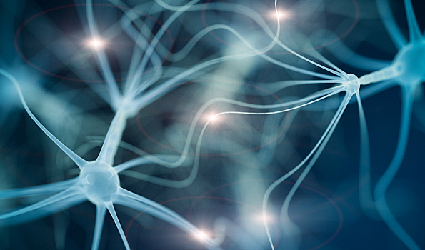 Яндекс внедрил нейросети в переводчик