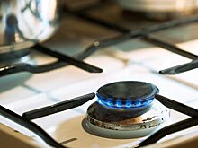 В России предложили бесплатно менять старые плиты одной категории граждан
