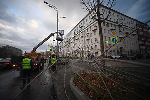 Коммунальщики оперативно ликвидируют последствия урагана в Москве