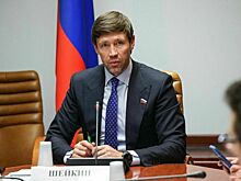 Сенатор Шейкин: Государственная биометрическая система защитит граждан в цифровом пространстве