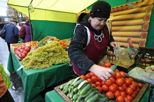 Сбежали от цивилизации. Где в Татарстане выращивают органические продукты