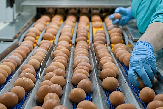 Генпрокуратура разъяснила, какие продукты имеют право носить маркировку ГОСТ