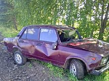 В Покровском районе ВАЗ вылетел в кювет и перевернулся