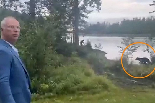 Дмитриев: Встреча с медведем на Аляске действительно была хорошим знаком