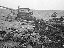 День в истории. 10 ноября: началось встречное танковое сражение, поставившее точку в освобождении Киева