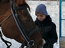Ипподрама по-казански продолжается: детям ищут место под конный манеж