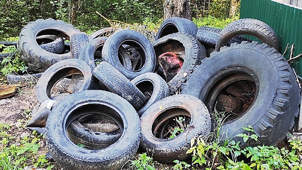 Почти 5 тонн покрышек собрали участники экоквеста «Охота на колеса» в Вологде