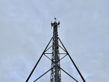 В 2025 году МТС улучшила качество связи почти в 40 селах и деревнях Костромской области