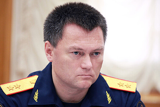 Генпрокурор рассказал, кто дал показания против аудитора СП Меня