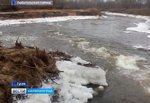 Корреспондент калининградских «Вестей» обследовал берега рек на востоке области