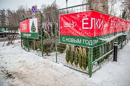 Елочные базары заработают в Одинцовском округе 20 декабря