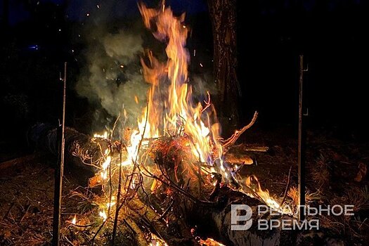 В России за сутки потушено 47 лесных пожаров