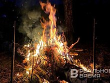 В России за сутки потушено 47 лесных пожаров