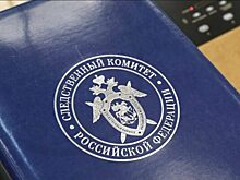 Депутат Госдумы попросил СК расследовать обстоятельства гибели Лермонтова