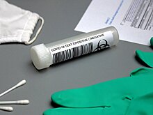 Россиянка выиграла поездку в Дубай и нарвалась на штраф из-за ПЦР-тестов