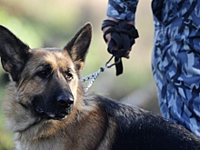 Полиция начала проверку по факту смерти подростка на спортивной площадке