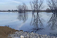Уровень воды в реке Ишим у села Викулово поднялся на 84 см