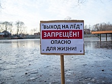 Спасатели выявили в Подмосковье 17 опасных водоемов с тонким льдом