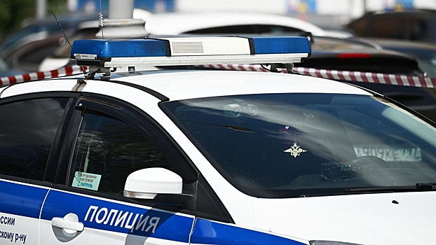 Задержан водитель автомобиля, который задавил женщину в Подмосковье и скрылся