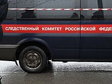 Глава ФТС прокомментировал дело против таможенников