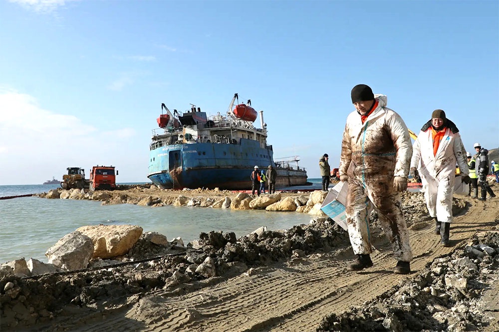Назван ущерб от гибели животных при разливе мазута под Анапой