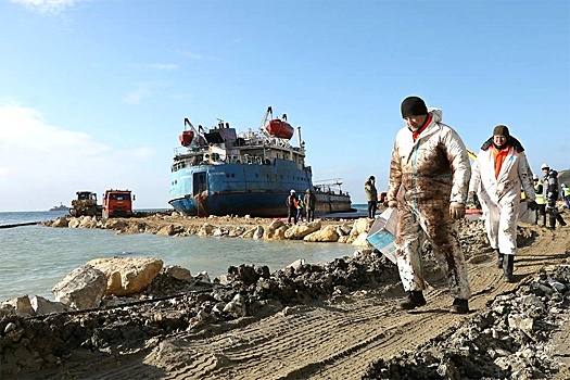 Назван ущерб от гибели животных при разливе мазута под Анапой
