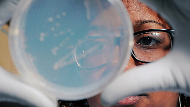 США направили в Канаду живые споры сибирской язвы