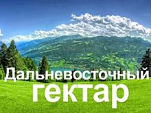 Россияне из центральной части страны интересуются гектаром