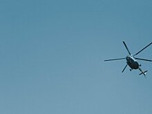 В катастрофе с вертолетом во Франции погибли два человека