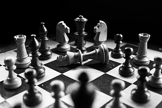В России появится аналог международного шахматного сайта chess.com